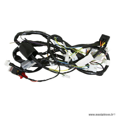 Faisceau électrique PIAGGIO OEM 2D000281 Derbi 50 Senda 2011-2017, Gilera 50 SMT, RCR 2011-2017