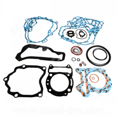 Pochette de joint complète ARTEIN adaptée pour Peugeot Geopolis/Satellis 250 (2006-2009), Piaggio X8 200/250 (2005-2008), Aprilia Atlantic 250 (2003-2008), Derbi GP1 250 (2006-2008), Gilera Nexus 250 (2006-2007)