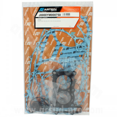 Pochette de joint complète ARTEIN adaptée pour Yamaha XP 500 TMAX (2001-2012)