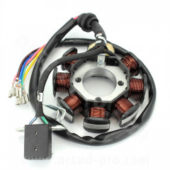 Stator allumage TNT moteur 139FMB-B / archive 50 euro 4