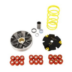 Variateur scooter DOPPLER SX86 adapt. Booster/Nitro/SR50/F12/Ovetto/Stunt