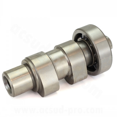 Arbre à came complet adaptable pour moteurs 50cc 4T, modèles Piaggio Fly, Zip, Vespa, Liberty, Primavera (OEM : 9692476)