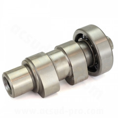 Arbre à came complet adaptable pour moteurs 50cc 4T, modèles Piaggio Fly, Zip, Vespa, Liberty, Primavera (OEM : 9692476)