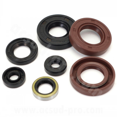 Joints spi moteur Carenzi pochette de 7 joints pour Derbi Senda 2006> VITON / MOTEUR NBR (EURO 3 / EURO 4)