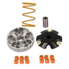 Variateur scooter adaptable 4T moteur 139QMB Kymco Agility Super 8 Django Kisbee Ludix Speedfight 3-4 V-Clic Vivacity Mio Orbit