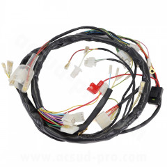 Faisceau électrique adaptable équivalent référence 00H01046301 pour Derbi Senda 50 2006-2010, Gilera SMT-RCR 2006-2010