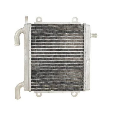 Radiateur adaptable adaptable pour Scooter MBK Nitro et Yamaha Aerox 50 1999-2012 (OEM : 5BRE24600100)