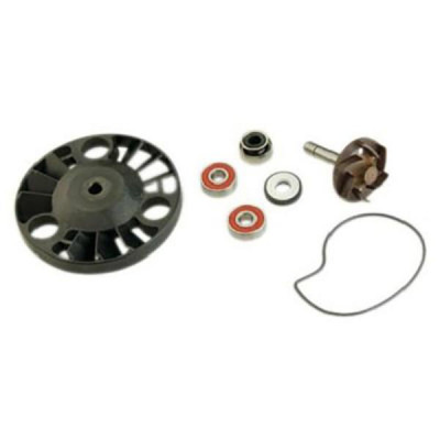 Kit réparation pompe à eau Top Performances Type origine (roulements diamètre 22) pour Piaggio 125 x8, x9, Beverly, Vespa GTS - Gilera 125 Nexus, Runner, DNA - Aprilia 125 Atlantic, Sport City