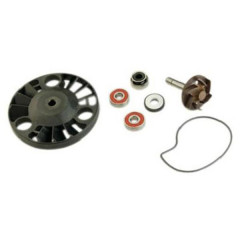 Kit réparation pompe à eau Top Performances Type origine (roulements diamètre 22) pour Piaggio 125 x8, x9, Beverly, Vespa GTS - Gilera 125 Nexus, Runner, DNA - Aprilia 125 Atlantic, Sport City