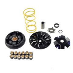 Variateur adaptable avec ressort jaune + joue fixe + 3 jeux de galets 16x13 pour Peugeot 50 Ludix One, Trend, Snake, Classic