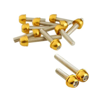 Vis de carter adaptable acier or 6x25/40/45 (kit de 12) pour scooter Booster/BW'S