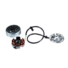 Allumage complet Piaggio 82829R mécaboite Derbi 50 Senda 2018-, Gilera 50 RCR, SMT 2017-, Aprilia RX, SX 2017-