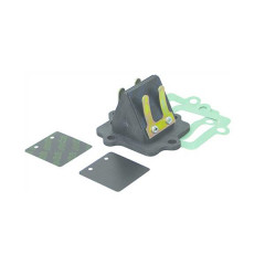 Clapet Polini carbone adaptable Nitro/Aerox/SR50/F12/Ovetto/Neos/Mach G/Jog R