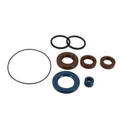 Joint spi moteur Artein Pro-Series complet pour scooter Piaggio 50 Zip SP, NRG LC - Derbi 50 Atlantis LC, GP1 (7 NOK)