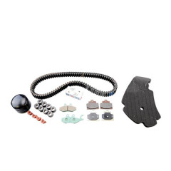 Kit entretien Piaggio 500 MP3 ABS 2014-2017 (avec plaquettes de frein) - 1R000375