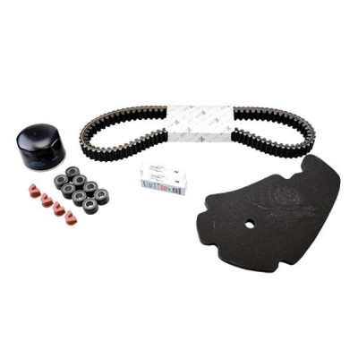 Kit entretien Piaggio avec guides variateurs pour maxi-scooter 500 MP3 2014-2020 (sans plaquettes de frein) -1R000401-