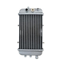 Radiateur adaptable avec emplacement sonde de température pour Derbi 50 Senda, Gilera 50 SMT, RCR