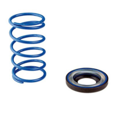 Ressort variateur Polini +15% pour Yamaha 500 TMAX (243.096)