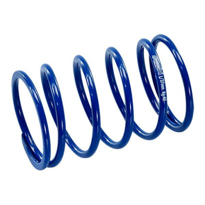 Ressort variateur Polini 4 soupapes pour maxi-scooter Piaggio 125 Medley 2016+ et 125 Vespa GTS 2016+ (243.106)