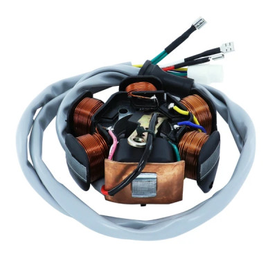 Stator adaptable 6 pôles pour moteurs Piaggio 50 Typhoon, NRG, NTT, Sfera, Liberty, ZIP RS, Vespa ET2, Gilera 50 Stalker, Runner