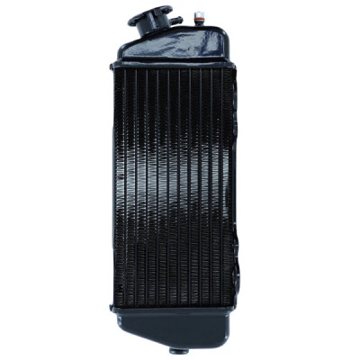 Radiateur de refroidissement adaptable adaptable vendu sans bouchon pour moto 50cc Beta RR à partir de 2005