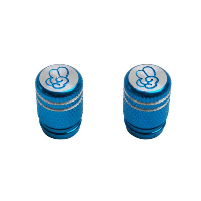 Capuchons / bouchons valve adaptable bleu (X2)