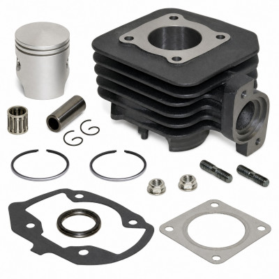Pack cylindre piston avec vis et cage : Scooter Peugeot Ludix, One, Snake, Trend, Vivacity, Kisbee 2013