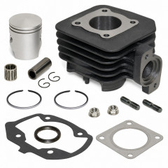 Pack cylindre piston avec vis et cage : Scooter Peugeot Ludix, One, Snake, Trend, Vivacity, Kisbee 2013