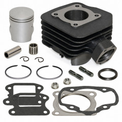 Pack cylindre piston avec vis et cage : Scooter Peugeot Vivacity, Speedfight, Buxy, TKR, Zenith, Trekker, Elystar, Elyseo, Looxor, Squab, X-Fight