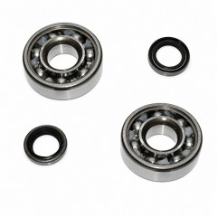 Pack roulement joints spi de vilebrequin pour 50cc mobylette MBK 51, MBK 41, MBK 88 Club