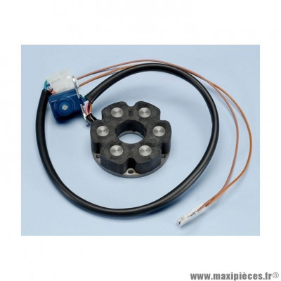 Stator d'allumage Polini pour Minarelli AM6 / Derbi - X-Limit, XP6, XR6, RS, RX, TZR, RR (171.0623)