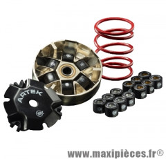 VARIATEUR ARTEK K2 DJANGO - VIVACITY - STREETZONE - LUDIX - TKR - VIVACITY - SPEEDFIGHT 1 - 2 - 3 - 4 - KISBEE - ELISEO