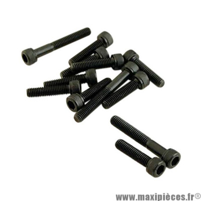KIT VIS ACIER NOIR CARTER BOITE A KICK BOOSTER SPIRIT - STUNT - NITRO - OVETTO - BWS - NG - SLIDER - SPY - AEROX - NEOS
